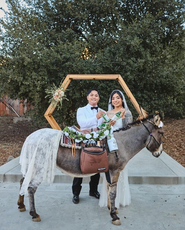 Cheers to what awaits in the New Year🥂 
2025 was a big year.
2026 here we come.
🤭

#beerdonkey reptacularanimals soonhariusa #letssoonhari lunabellaphoto